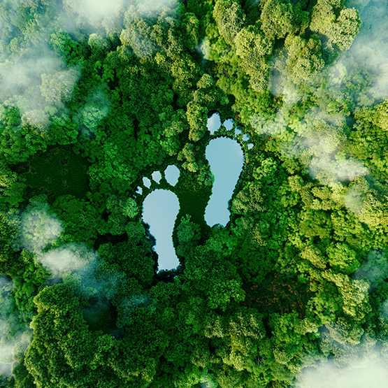 CO2 Bilanz und CO2 Footprint